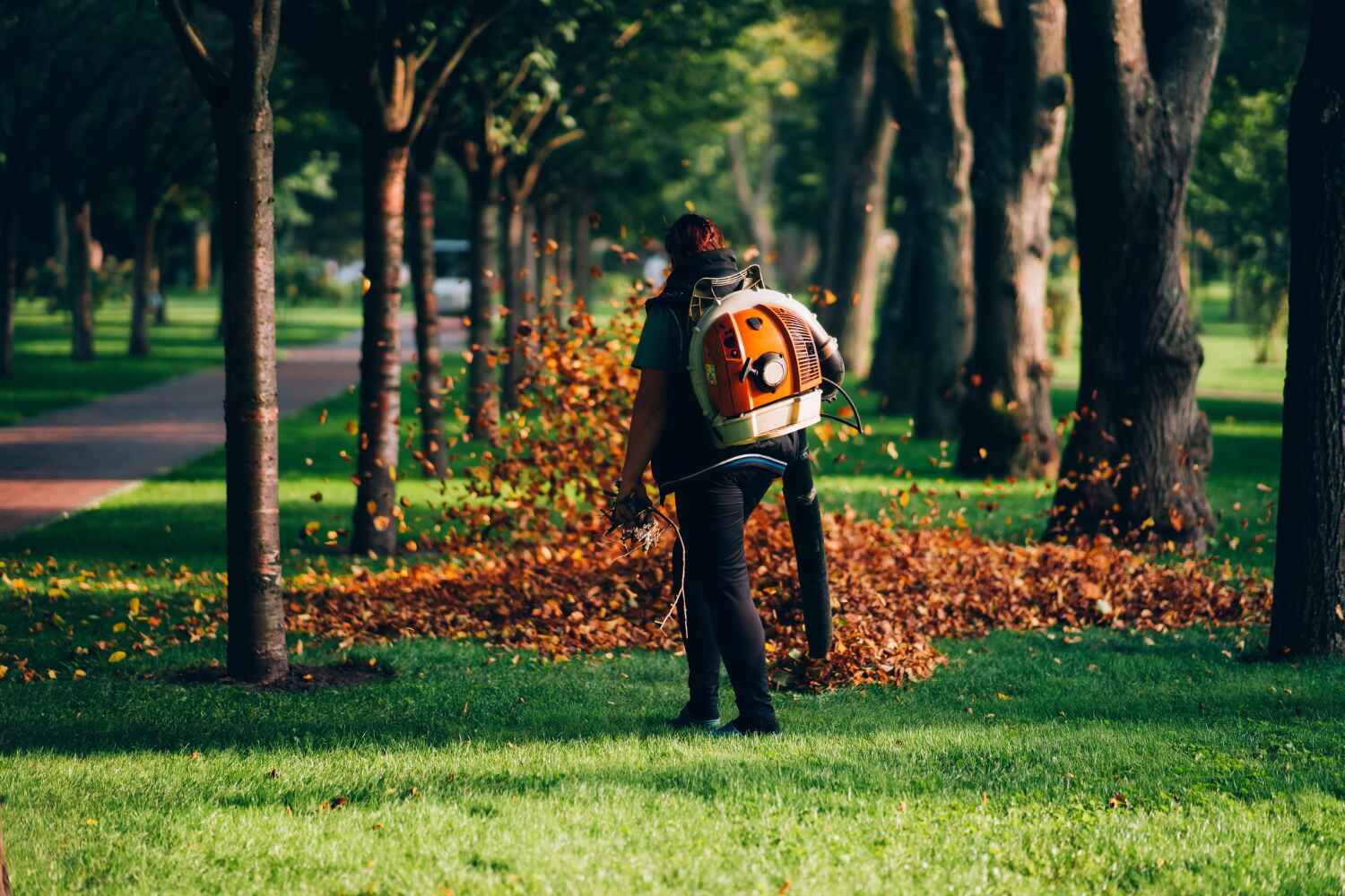 Best Affordable Tree Cutting  in Trafford, PA